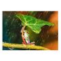 Puzzle Trefl 500el Zielony parasol - 3
